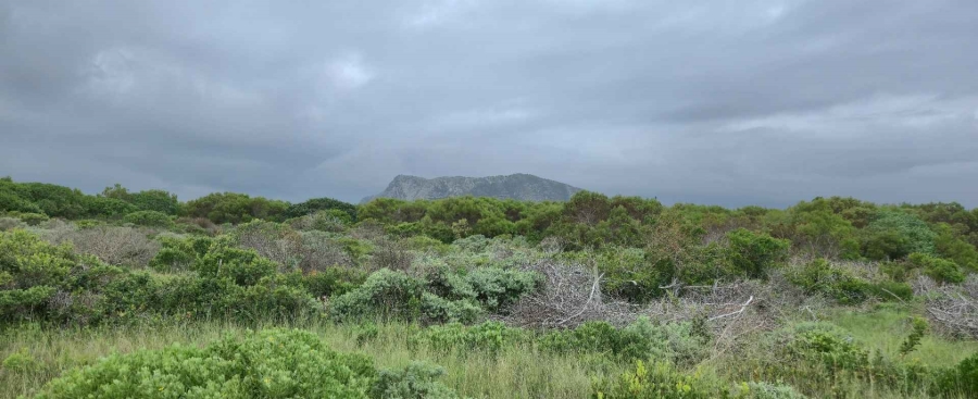 0 Bedroom Property for Sale in Kleinbaai Western Cape